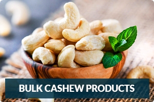 bulk cashew nut products suppliers